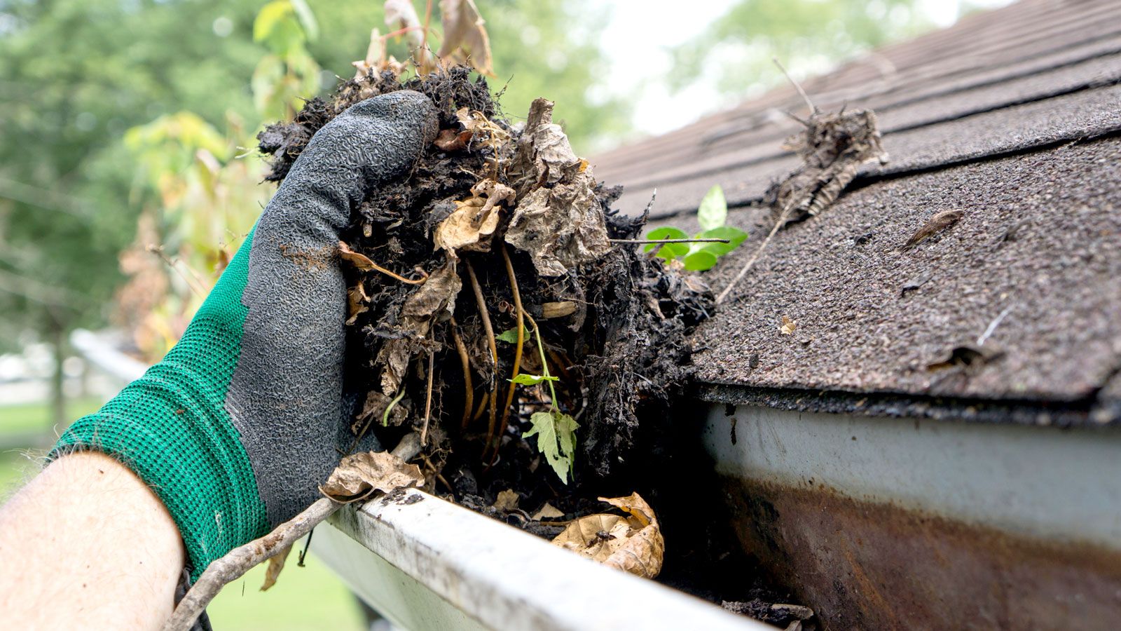 Gutter Cleaning, Install & Covers photo 2
